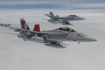 VFA-102 Diamondbacks, rhino, cag-5, fa-18f, diamondback HD wallpaper
