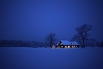Winter Night, winter, night, snowy, snow, christmas, house, xmas, tree HD wallpaper