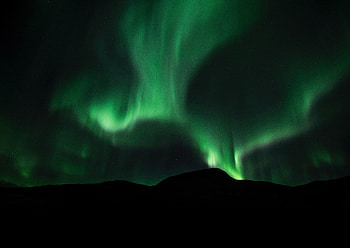 Sky, green lights, Aurora Borealis, silhouette HD wallpaper