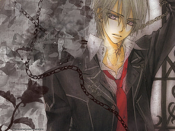 Zero Kiryu, zero, knight, vampire, kiryu HD wallpaper