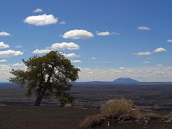 Idaho lavafields, idaho, lavafields, fields, sky, nature, usa, tree HD wallpaper