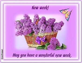 NEW WEEK, NEW, COMMENT, WEEK, CARD HD wallpaper