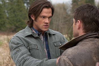 Sam Winchester, Jared Padalecki, TV Show, Supernatural (TV Show) HD wallpaper