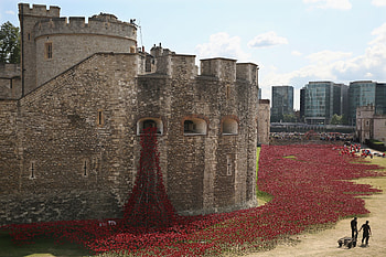 Tower of London, Poppy display, World War I, Tower's tribute HD wallpaper