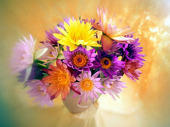 Flowers vase, vase, flowers HD wallpaper