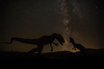 Universe, Dinosaurs, Dark, Starry Sky HD wallpaper