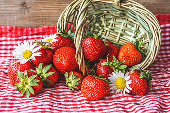 Fresh strawberries, daisies, basket HD wallpaper