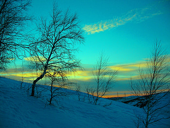 Winter, Nature, Sky, Snow, Evening, Frost, Cold, March, February HD wallpaper