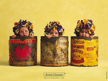 baby, anne geddes, can, wreath, flower HD wallpaper