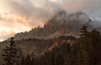A scenic mountain view surrounded by fog and pine trees during sunset, capturing the wilderness. HD wallpaper