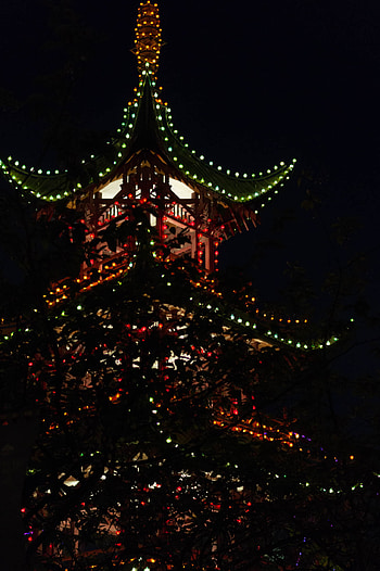 Tivoli Gardens, Danish theme park, Blogger's insights, Fun destination HD phone wallpaper