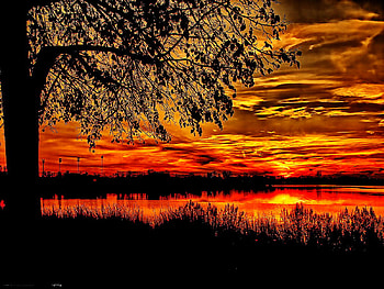 Red sunset, sundown, peaceful, beautiful, tree, lake, reflection, red, clouds, nature, sky, water, calm, sunset HD wallpaper