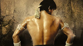 Ong-Bak, Movie database, Film HD wallpaper