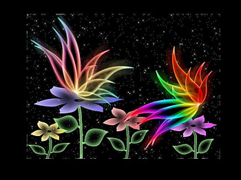 Butterflies, flowers, abstract, butterfly HD wallpaper
