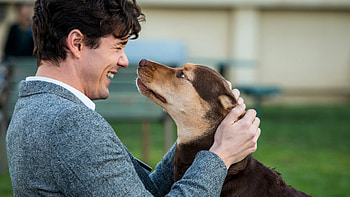 Lucas and Bella, A Dog's Way Home HD wallpaper