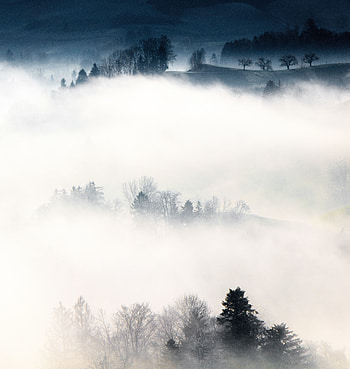 Landscape, Nature, Trees, Mountains, Fog, Hills HD phone wallpaper