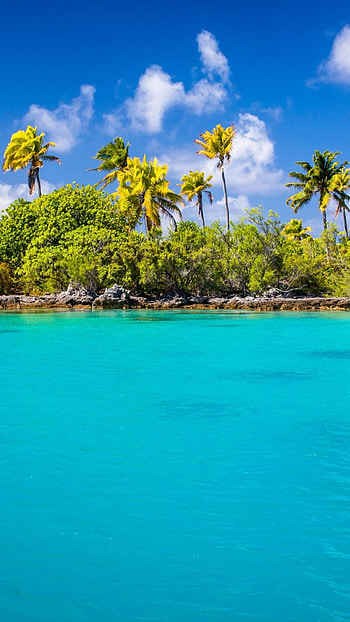Breathtaking Belize, , Stunning , Tropical backgrounds HD phone wallpaper