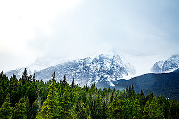 Snow mountains, trees, fog, nature HD wallpaper
