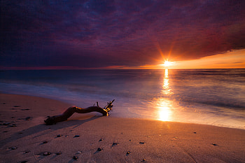 Beach, sunset, tree trunk, clouds, sea HD wallpaper