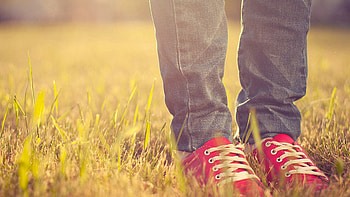 Grass, Miscellanea, Miscellaneous, Legs, Sneakers, Shoes HD wallpaper