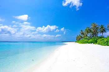 Idyllic tropical beach with white sand and turquoise water under a blue sky. HD wallpaper