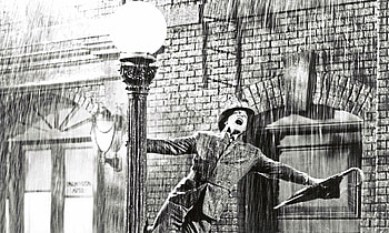 Musical magic, Gene Kelly's charm, Iconic umbrella scene, Filled with joy HD wallpaper