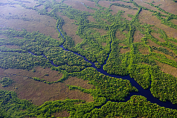 Everglades National Park, Travel guide, Untouched wilderness, Florida HD wallpaper