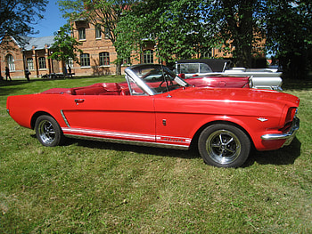 Auto, Cars, Cabriolet, Ford Mustang HD wallpaper
