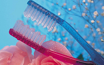 Transparent, Miscellanea, Miscellaneous, Couple, Pair, Brushes HD wallpaper