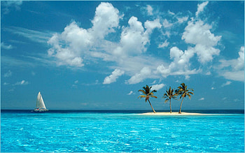 Windows XP - Azul [] : - windows xp HD wallpaper