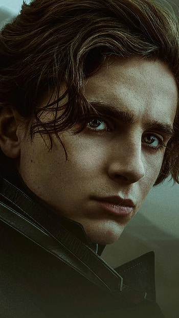 Timothee Chalamet, Dune HD phone wallpaper