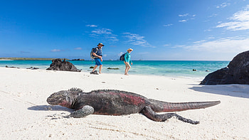 Galapagos Islands, Gulliver Expeditions, Island adventure, Ecuador travel HD wallpaper