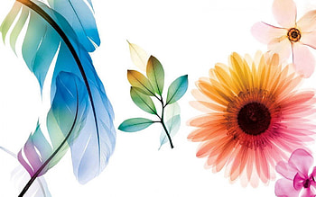 Abstract, Background, Leaves, Flower, Paint HD wallpaper