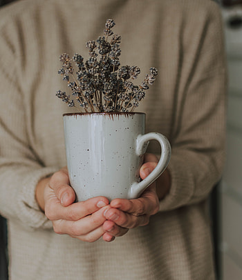 Flowers, Miscellanea, Miscellaneous, Cup, Hands, Mug, Lavender HD phone wallpaper