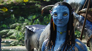 Neytiri, Avatar movie, Long hair, Yellow eyes HD wallpaper