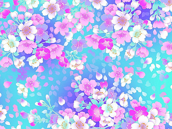 Flowers, Background HD wallpaper