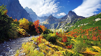 glorious valley landscape, trees, trail, mountains, valley HD wallpaper