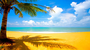 Summer Screensavers And HD wallpaper