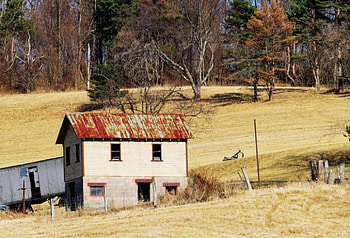 Look At His Happy Smile for Spring!, barn, architecture, field, natue, fall, farm, spring HD wallpaper