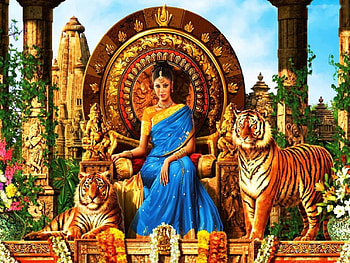 Watchguards, artwork, predators, throne, cats, princess, tigers HD wallpaper