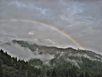 in the mists, mist, rainbow, trees, sky, mountains HD wallpaper