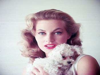 ANITA EKBERG, movies, action, actresses, usa HD wallpaper