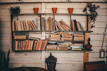 Rustic bookshelf in cozy Dalat, Vietnam interior with books and plants. HD wallpaper