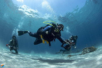 Scuba diving, Diving HD wallpaper