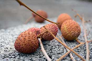 Food, Fruit, Exotic, Chinese Plum, Lychee HD wallpaper
