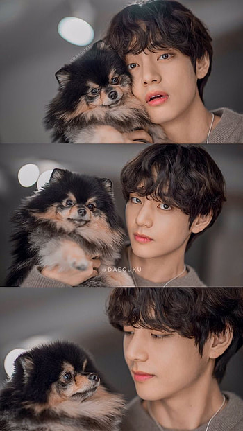 Kim Taehyung *V and Yeontan in 2020. Bts taehyung, Bts jimin, Taehyung HD phone wallpaper