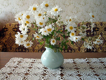 Delicate Daisies, table, vase, white daisies, lacy table cloth HD wallpaper