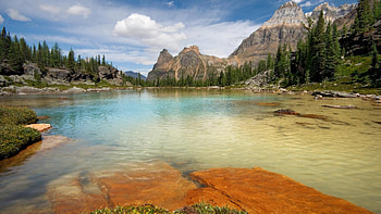 opabin terrace pools yoho np canada, mountains, forest, rocks, pools HD wallpaper