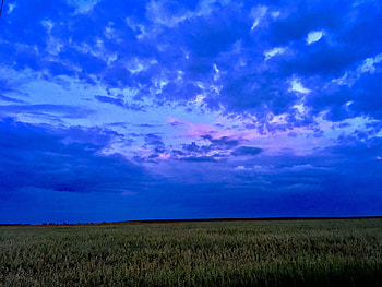 Nature, Sky, Clouds, Field, Evening HD wallpaper
