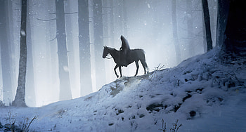 Man on horse, walking through woods, silhouette, fantasy HD wallpaper